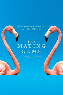 The Mating Game S01