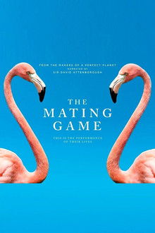 The Mating Game 1° Temporada Completa