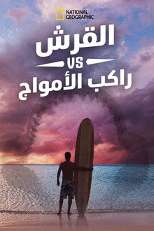 القرش vs راكب الأمواج