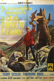 La meravigliosa avventura di Sam e l'orsetto lavatore