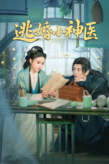 逃婚小神医