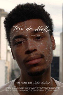 Teia de Abelha