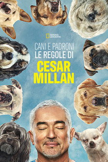 Stagione 1