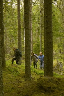 Det vi inte ser