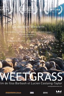 Sweetgrass