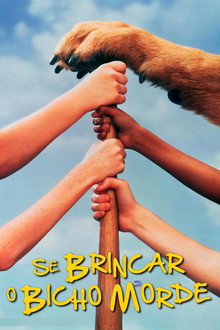 Se Brincar o Bicho Morde