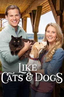 Poster do filme Like Cats & Dogs