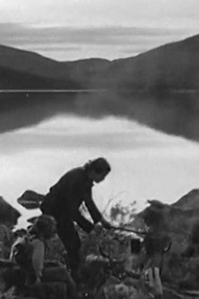 Brasafton i fjället