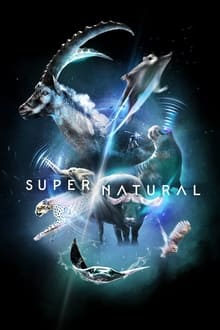 Super Natural tv show poster