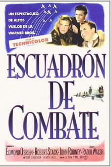 Escuadrón de combate