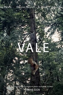 Poster do filme Vale