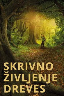 Skrivno življenje dreves