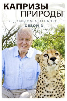 Сезон 3