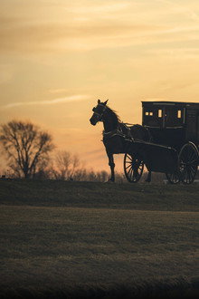 The Amish: Shunned