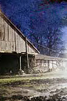 The Pig Farm