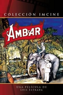 Poster do filme Amber