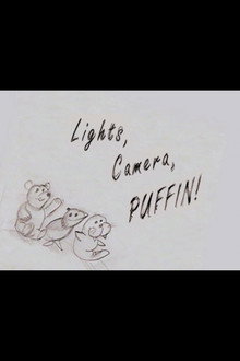 Elf: Lights, Camera, Puffin!