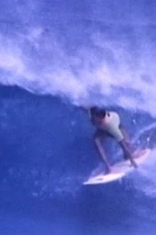 Gone Surfin'