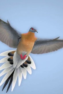 From Billions to None: The Passenger Pigeon's Flight to Extinction