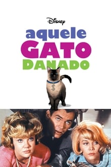 Poster do filme Aquele Gato Danado