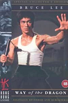 Reflections on 'the Little Dragon'