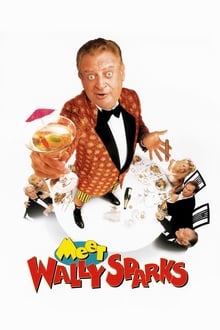 Meet Wally Sparks movie poster