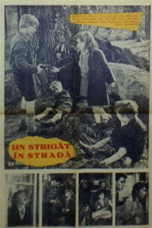 Un strigăt în stradă