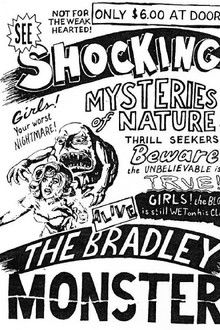 Basket Case 3-1/2: An Interview With Duane Bradley