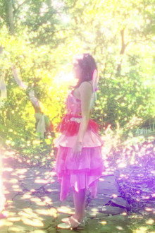 the kingdom of fairies