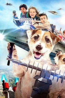 A-Doggone-Adventure