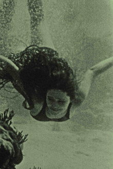 Wonders of the Sea