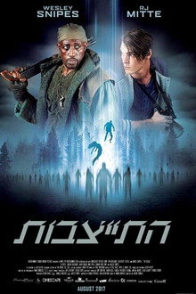 התייצבות