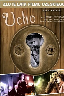 Ucho