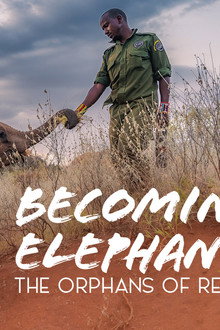 Becoming-Elephant-The-Orphans-Of-Reteti