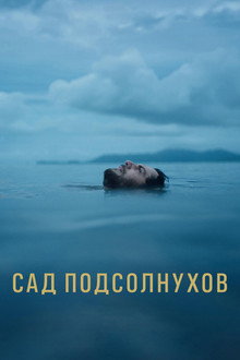 Сад подсолнухов