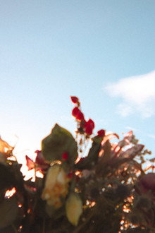 Honeymoon