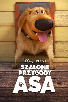 Szalone przygody Asa