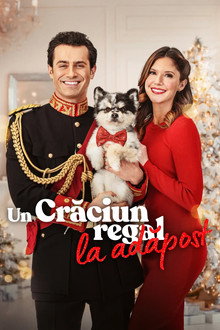 Un Crăciun regal la adăpost