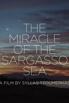 The Miracle of the Sargasso Sea