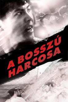 A bosszú harcosa