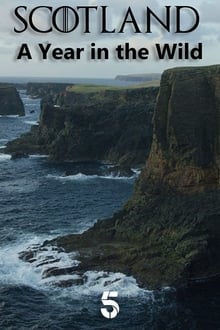 Poster da série Scotland: A Year In The Wild