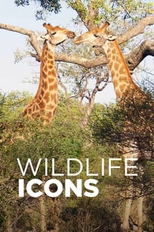 Poster da série Ícones da Vida Selvagem