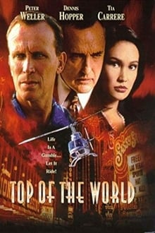 Poster do filme Top of the World