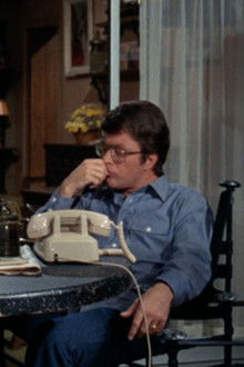 The Courtship of Eddie's Father - Season 1