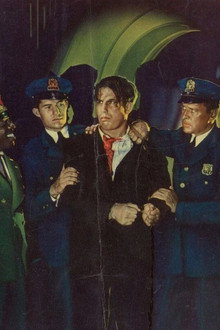 The Secret Witness