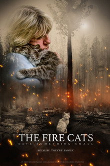 The Fire Cats: Save Something Small