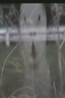 呪われた心霊動画 XXX 7