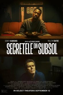 Secretele din subsol