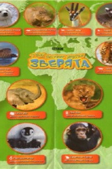 All About Animals