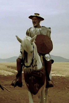 Las locuras de don Quijote